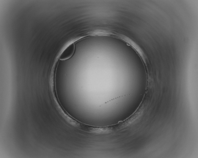 X0000110861195200906251202