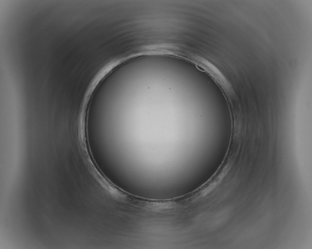 X0000110861196200906251202