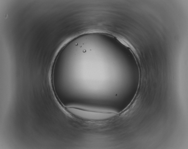 X0000110861197200906251202