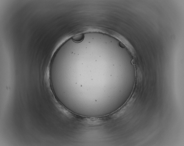 X0000110861198200906251202