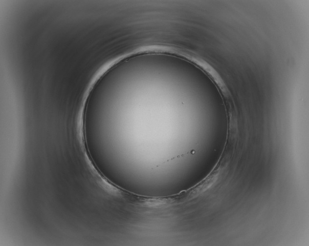 X0000110861199200906251202