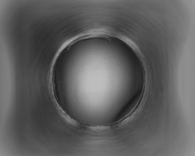 X0000110861200200906251202