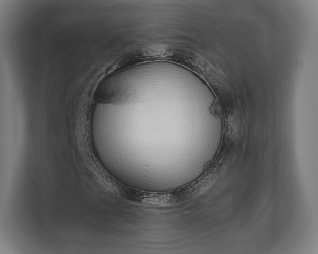 X0000110861201200906251201