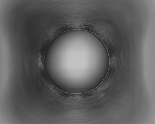 X0000110861202200906251201