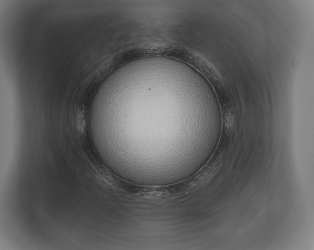 X0000110861204200906251201