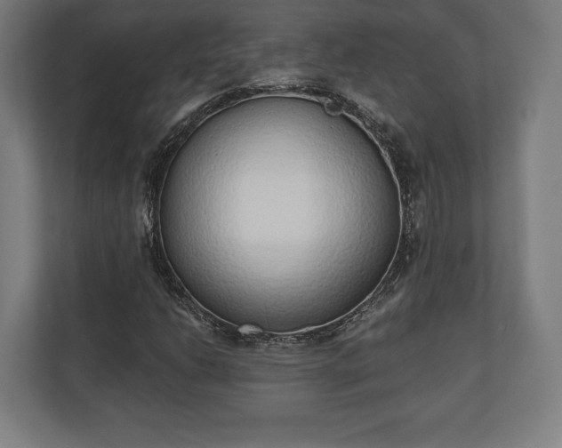 X0000110861206200906251201