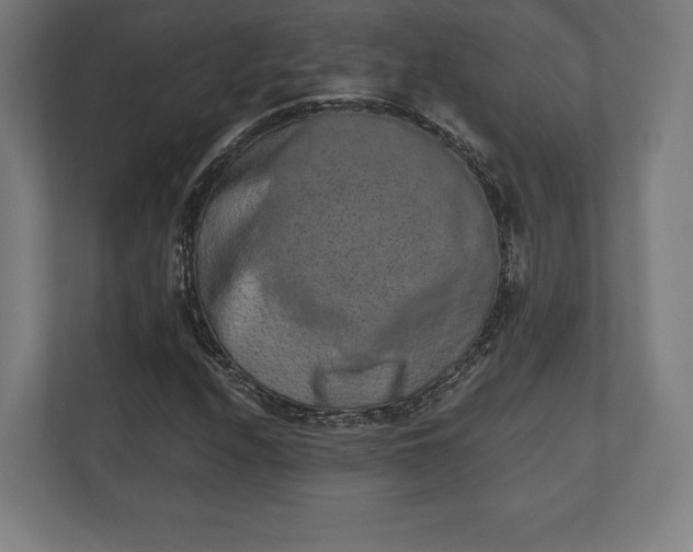 X0000110861208200906251201