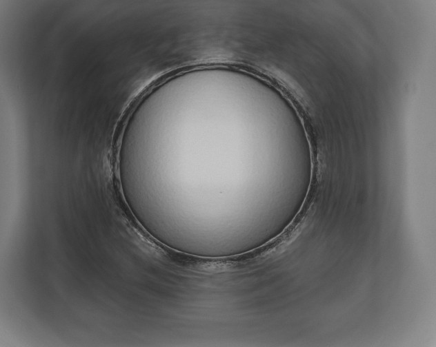 X0000110861212200906251201