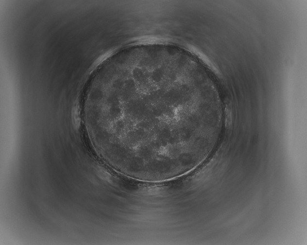 X0000110861213200906251201