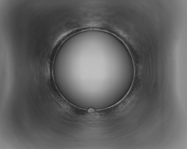 X0000110861214200906251201