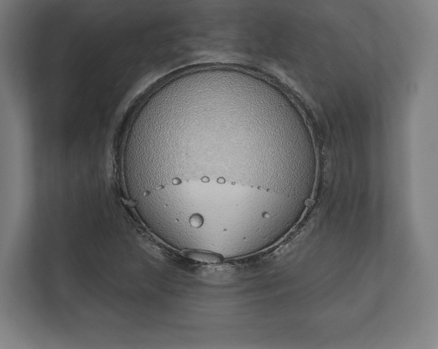 X0000110861215200906251201