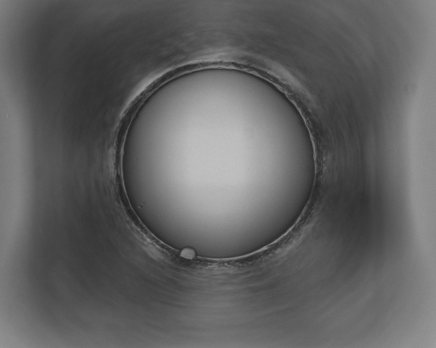 X0000110861216200906251202