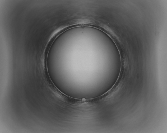 X0000110861222200906251202