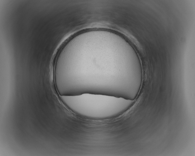 X0000110861224200906251202