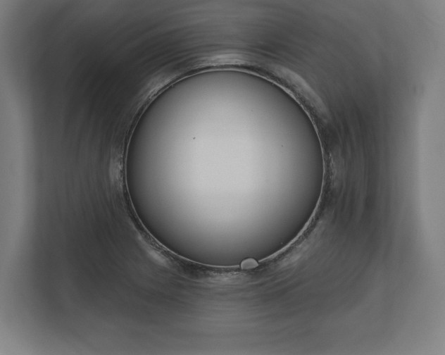 X0000110861225200906251202