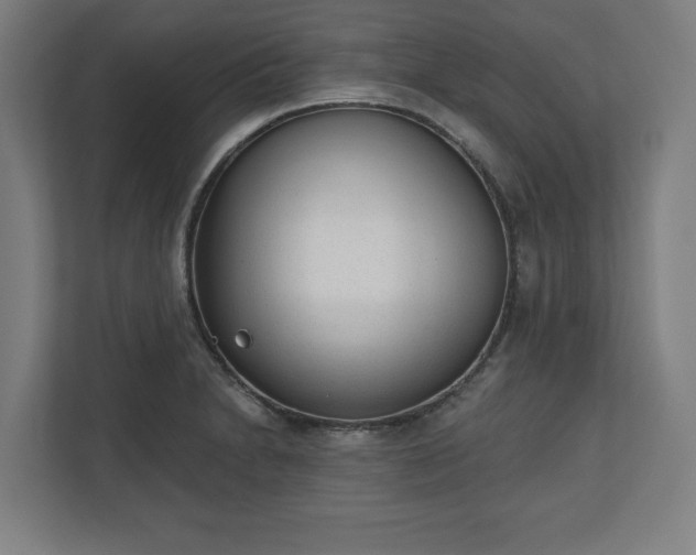 X0000110861230200906251202