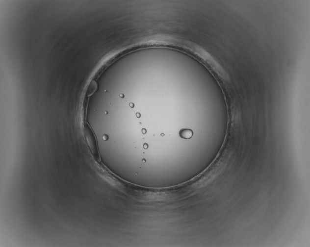 X0000110861232200906251202