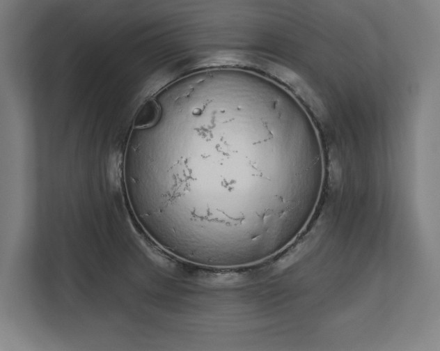 X0000110861233200906251202