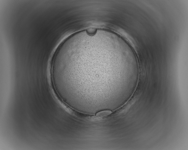 X0000110861235200906251202