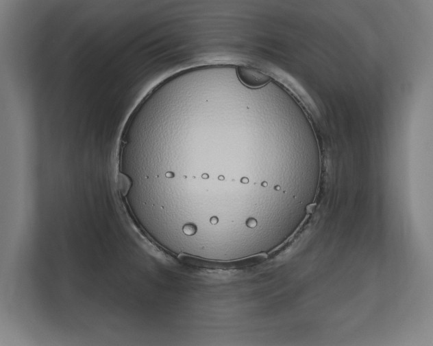 X0000110861236200906251202