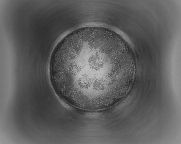 X0000110861237200906251202