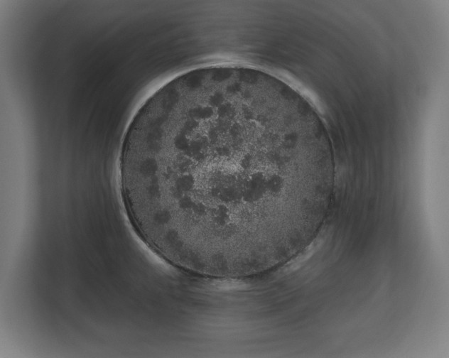 X0000110861239200906251202