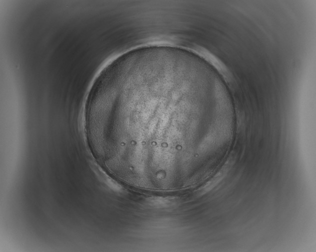 X0000110861240200906251202