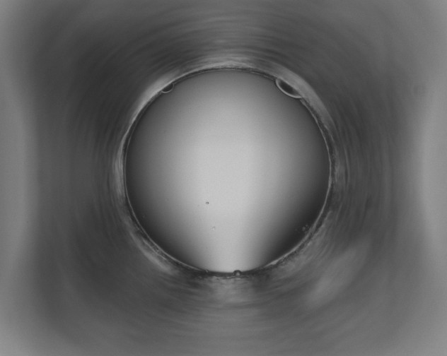 X0000110861242200906251202