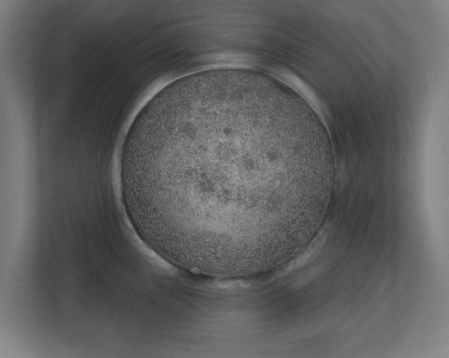 X0000110861243200906251202