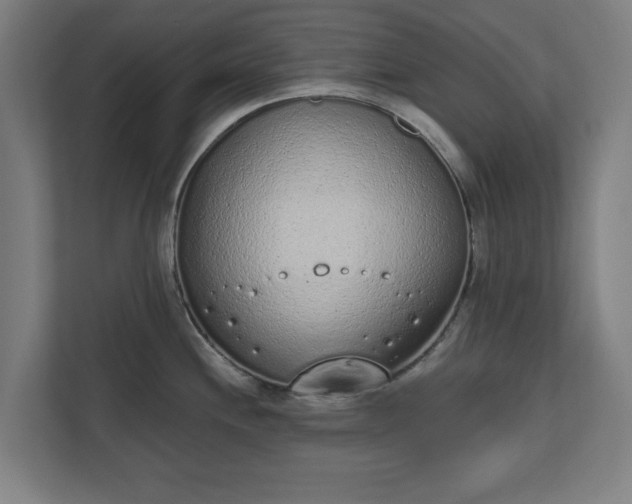 X0000110861244200906251202