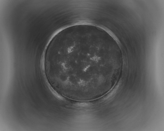 X0000110861246200906251202