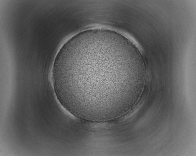 X0000110861247200906251202