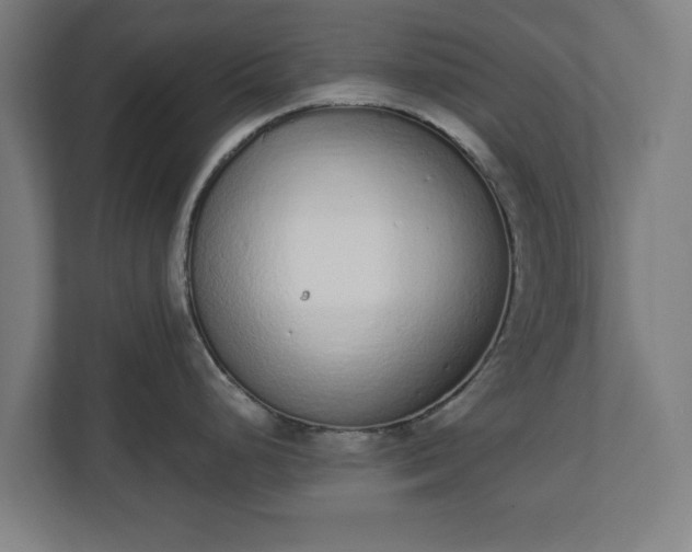 X0000110861248200906251202