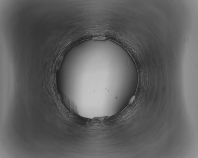 X0000110861249200906251201