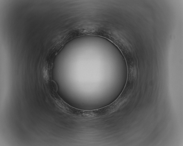 X0000110861250200906251201