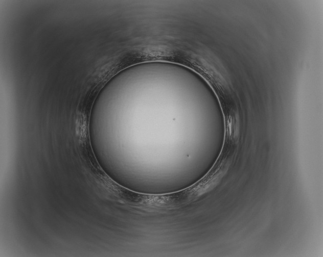 X0000110861251200906251201