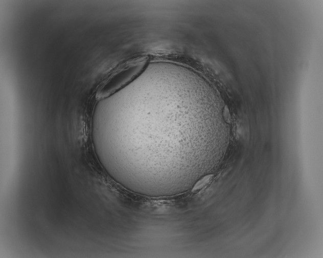 X0000110861253200906251201