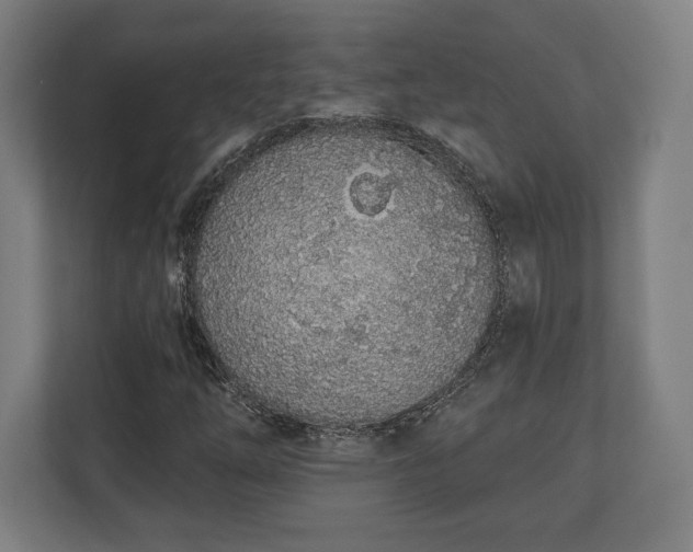 X0000110861254200906251201