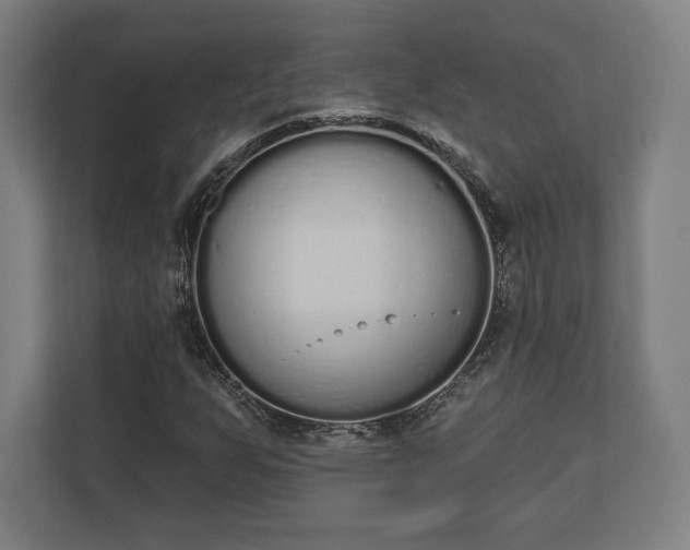 X0000110861255200906251201