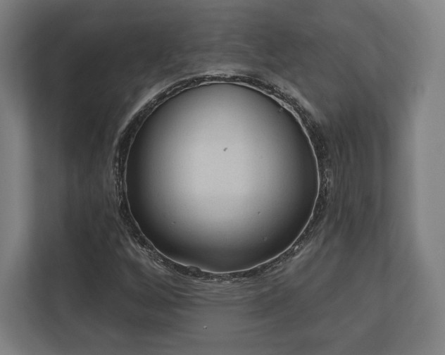 X0000110861256200906251201