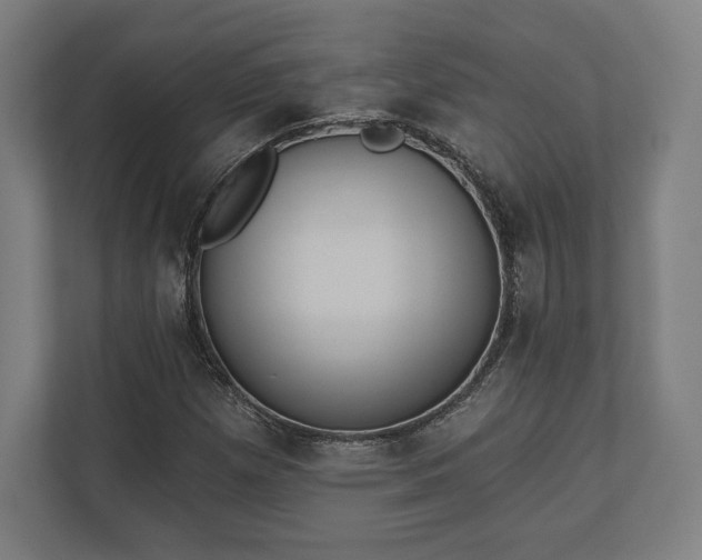 X0000110861257200906251201