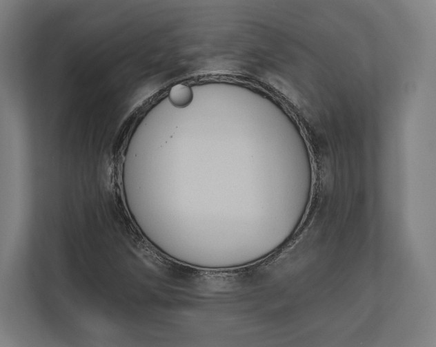 X0000110861258200906251201