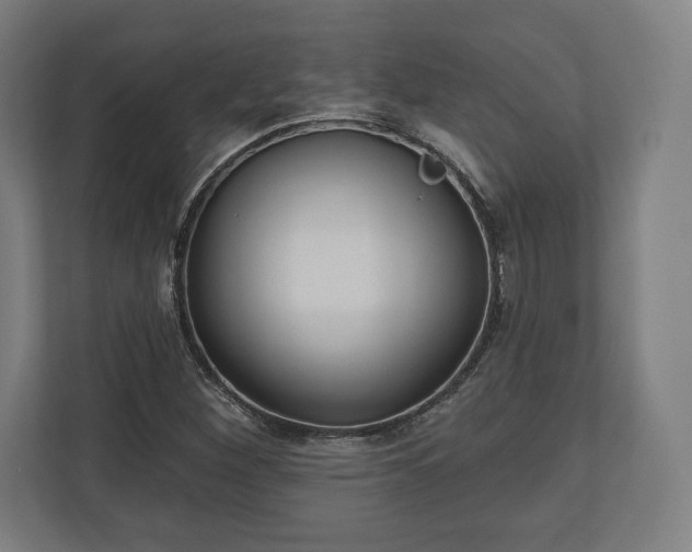 X0000110861260200906251201