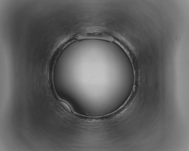 X0000110861261200906251201