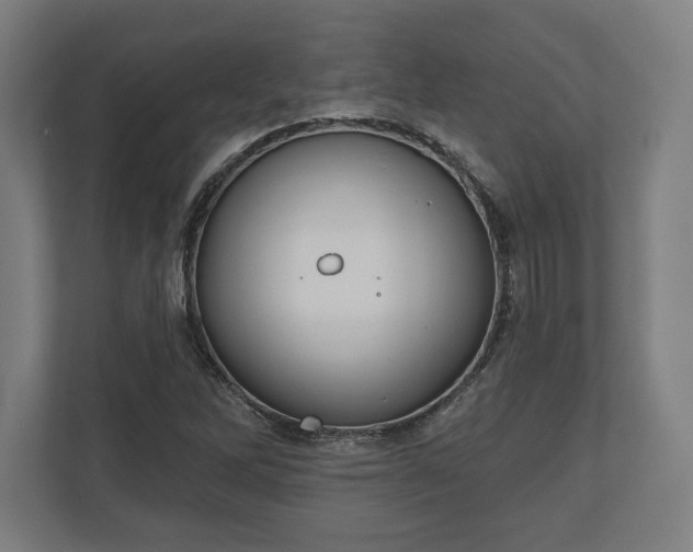 X0000110861262200906251201