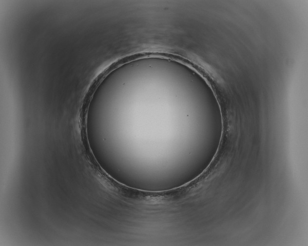 X0000110861264200906251201