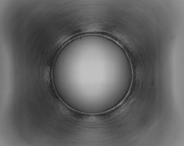 X0000110861265200906251201