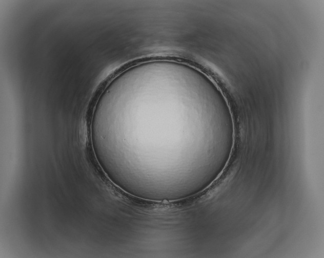 X0000110861267200906251201