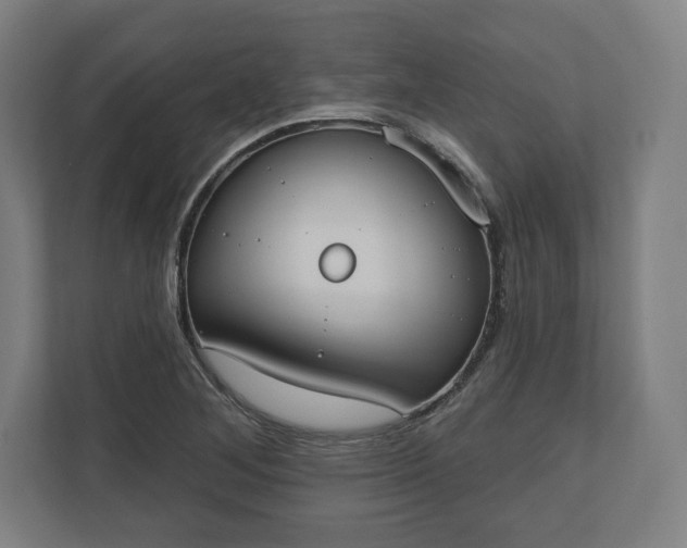 X0000110861268200906251201