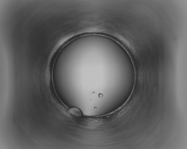 X0000110861270200906251201